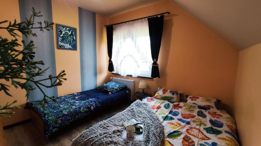 Apartamenty Pilsko Korbielów Exteriér fotografie